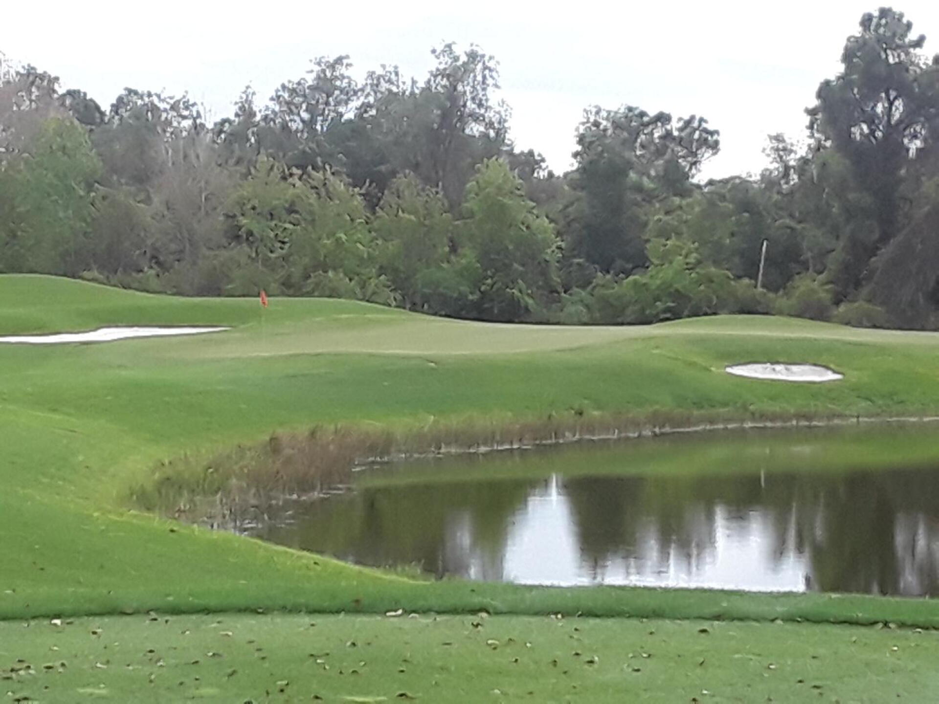 Fun par 3! (Photo submitted by Goobgolfer on 02/22/2021)