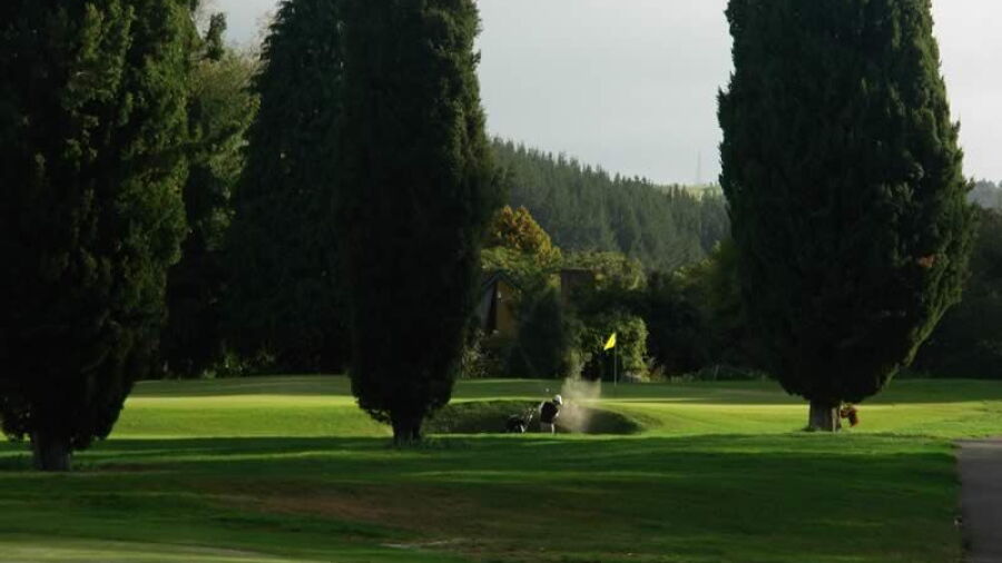Springfield GC: #3