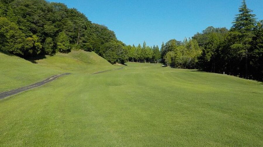 Daiju GC Toyota: #13