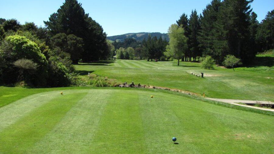 Judgeford GC: #8