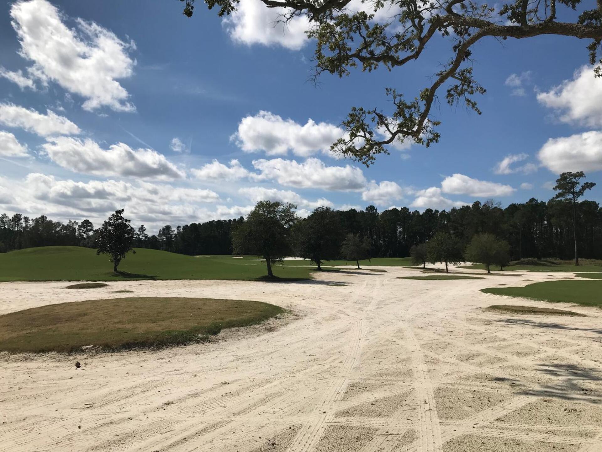 (Photo submitted by Colin468 on 01/07/2019)