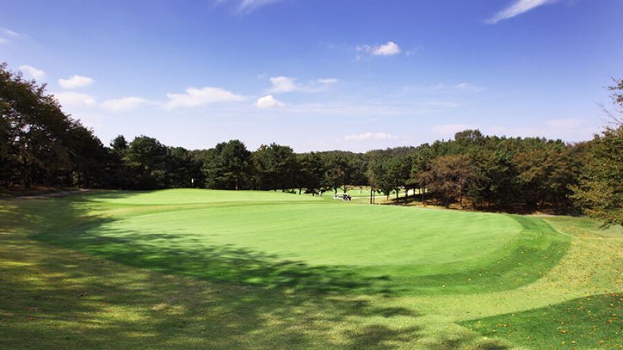 Plaza CC - Tiger: #7