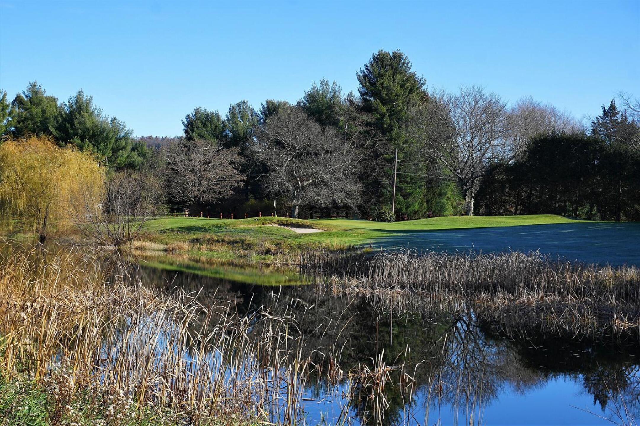 Four. Par-3, 176. Overdraw your tee shot and your golf ball will be deep-sixed. That’s frost you see in the shadows. (Photo submitted by AptlyLinked on 11/21/2021)