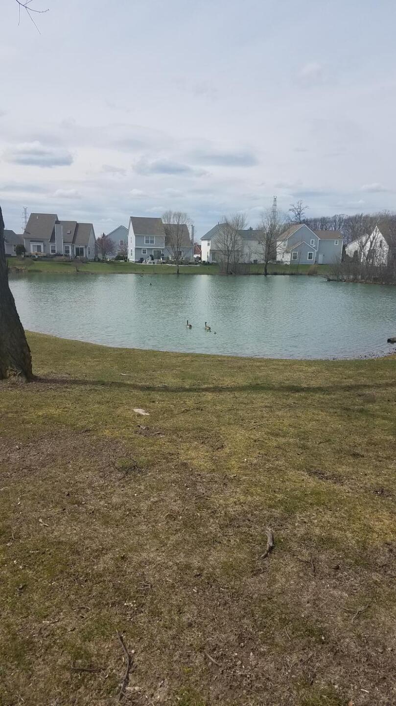 (Photo submitted by howardkhru on 05/17/2020)