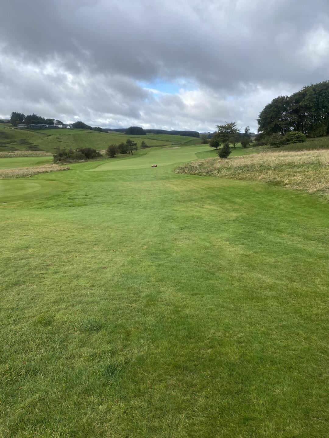 (Photo submitted by BIg0RmX8HUpU8yIPTiLN on 09/15/2025)