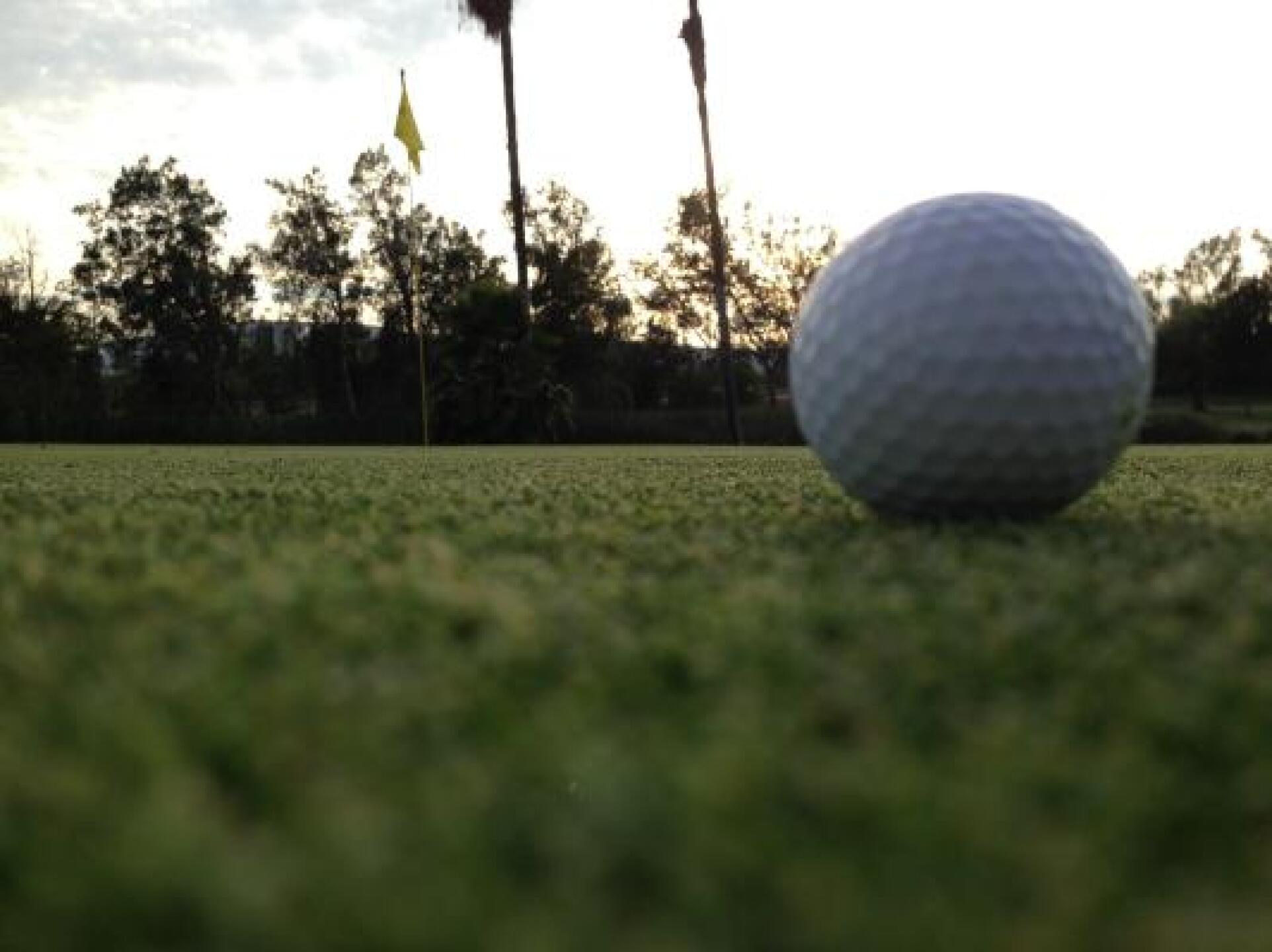 (Photo submitted by u000007386765 on 08/28/2013)