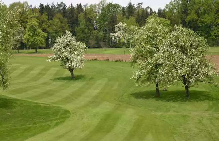 Swarco Amstetten-Fershnitz GC