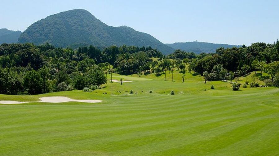Golden Palm CC: #1