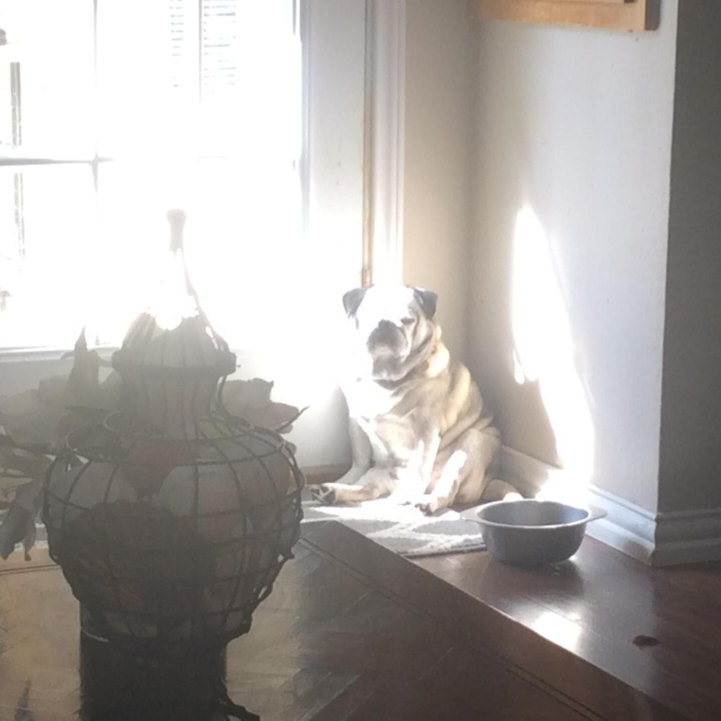 Another beautiful day in the sun! (Photo submitted by Pcdanielczyk on 05/12/2020)