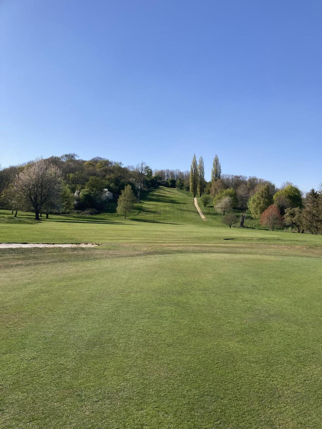 (Photo submitted by Seveball1 on 04/12/2025)