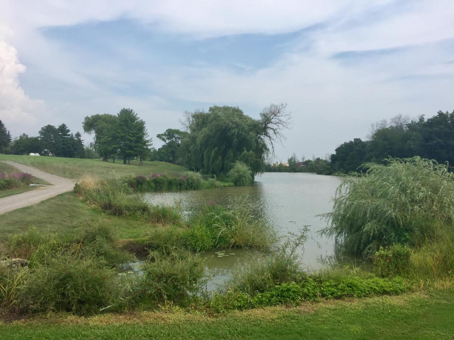 18 Hole (Photo submitted by Rasiulis on 08/16/2018)