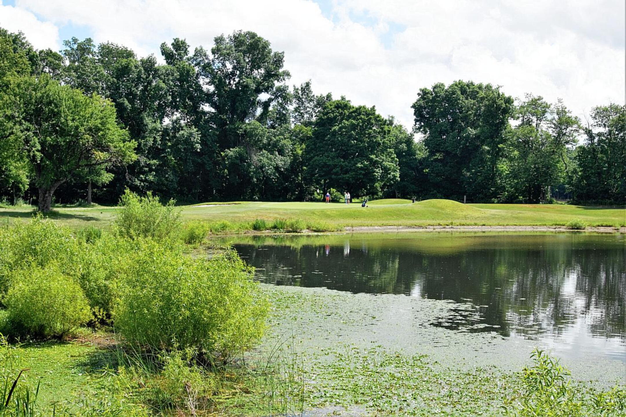 Another view of the third hole, from the tee at which you can play it as a par-three–on the “back nine.” (Photo submitted by AptlyLinked on 06/25/2022)