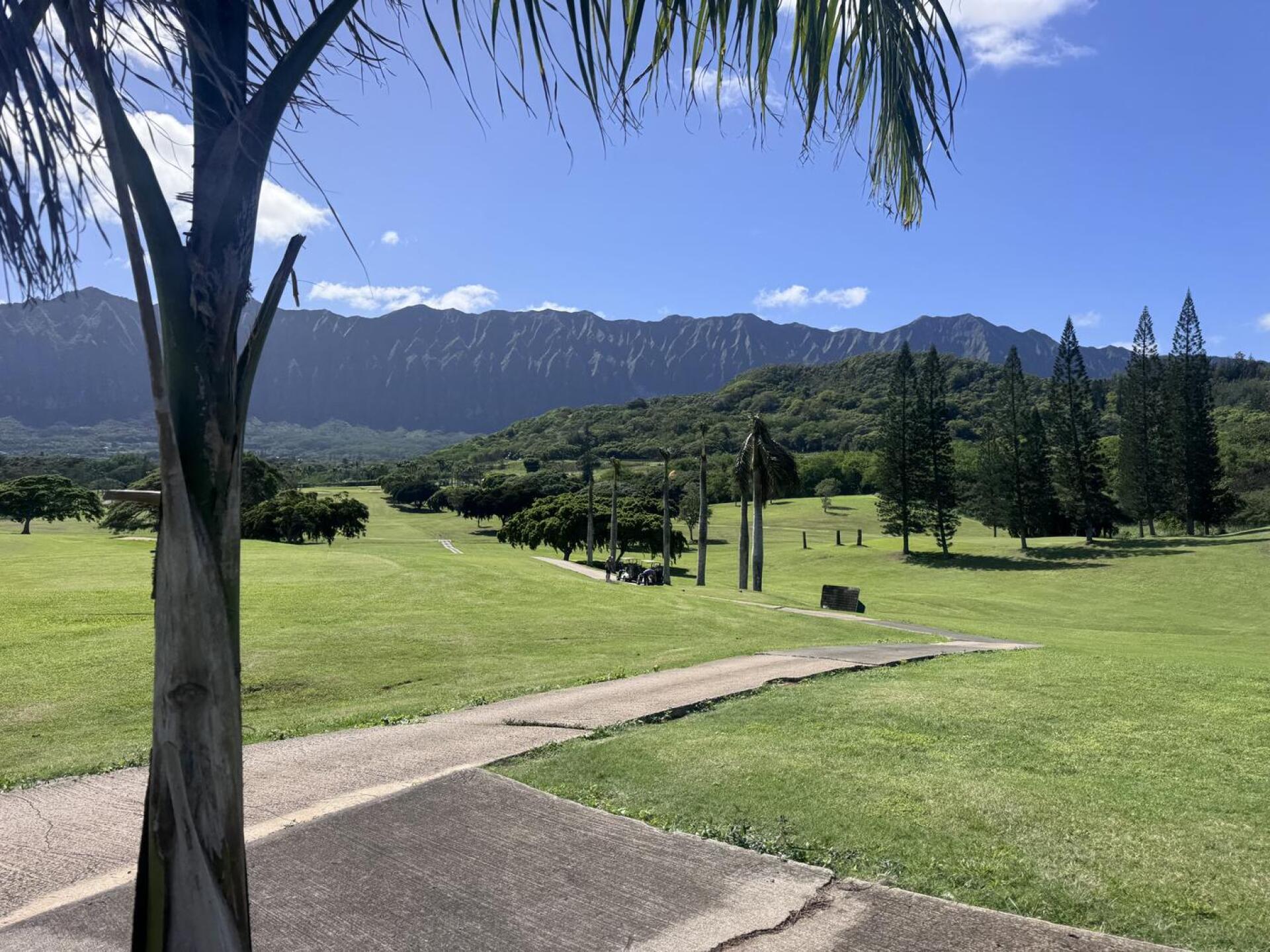 (Photo submitted by zQIgs9ey6SpCwTtsKU5N on 01/18/2026)