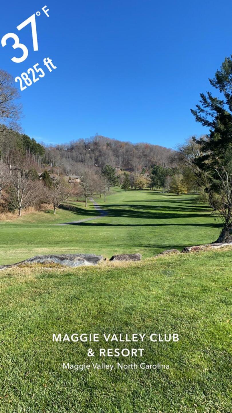 (Photo submitted by Chris8540671 on 12/01/2024)