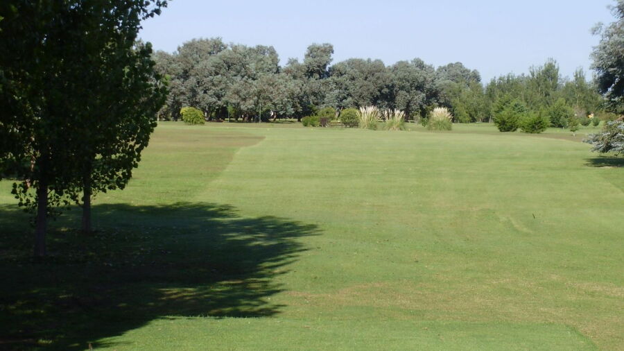 Velocidad GC