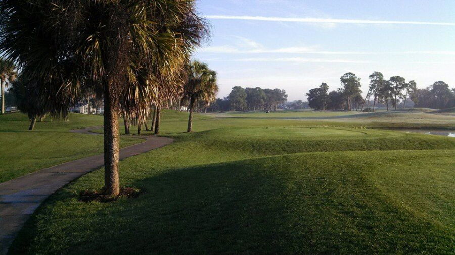 Rotonda GCC - Palms