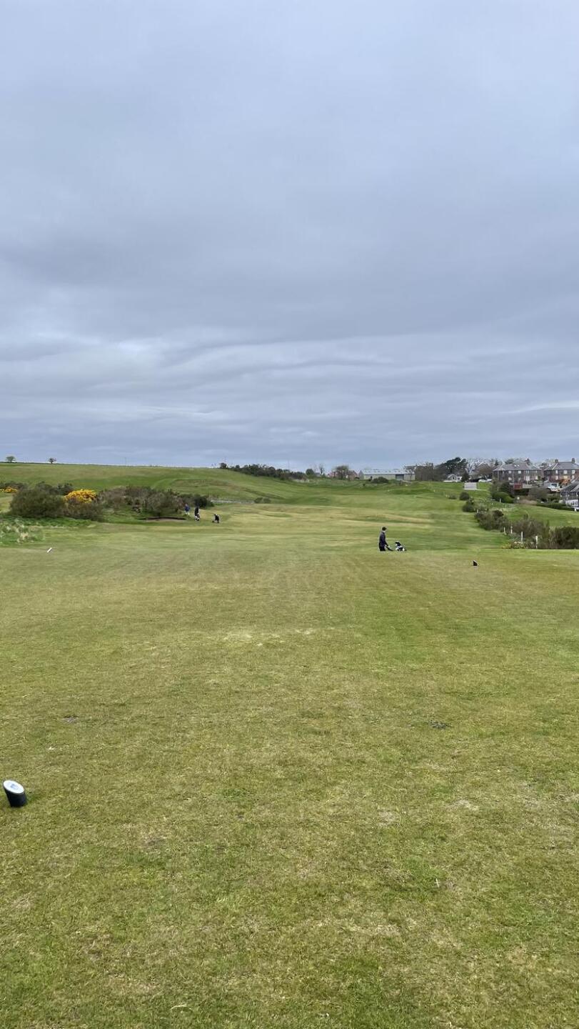 (Photo submitted by Aidanio on 04/16/2023)