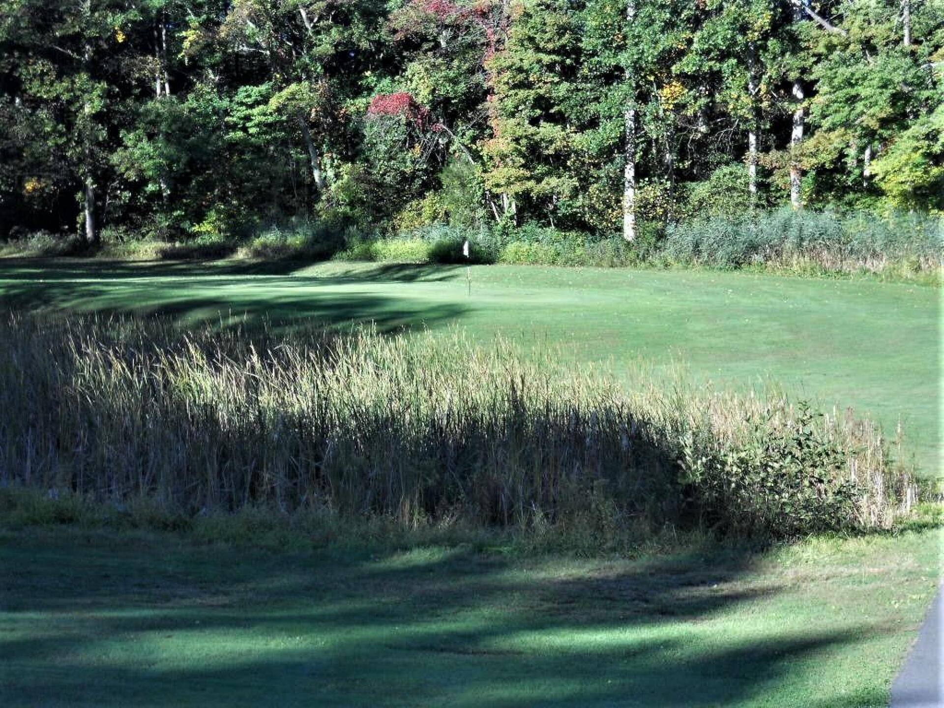 The fifteenth: par 3, over the marshland. (Photo submitted by AptlyLinked on 10/14/2019)