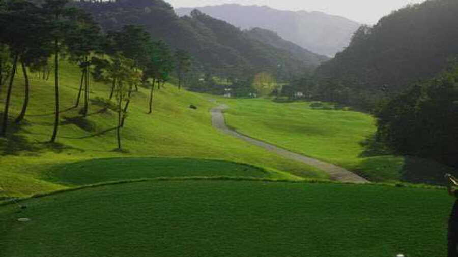 Century 21 CC - Field: #9
