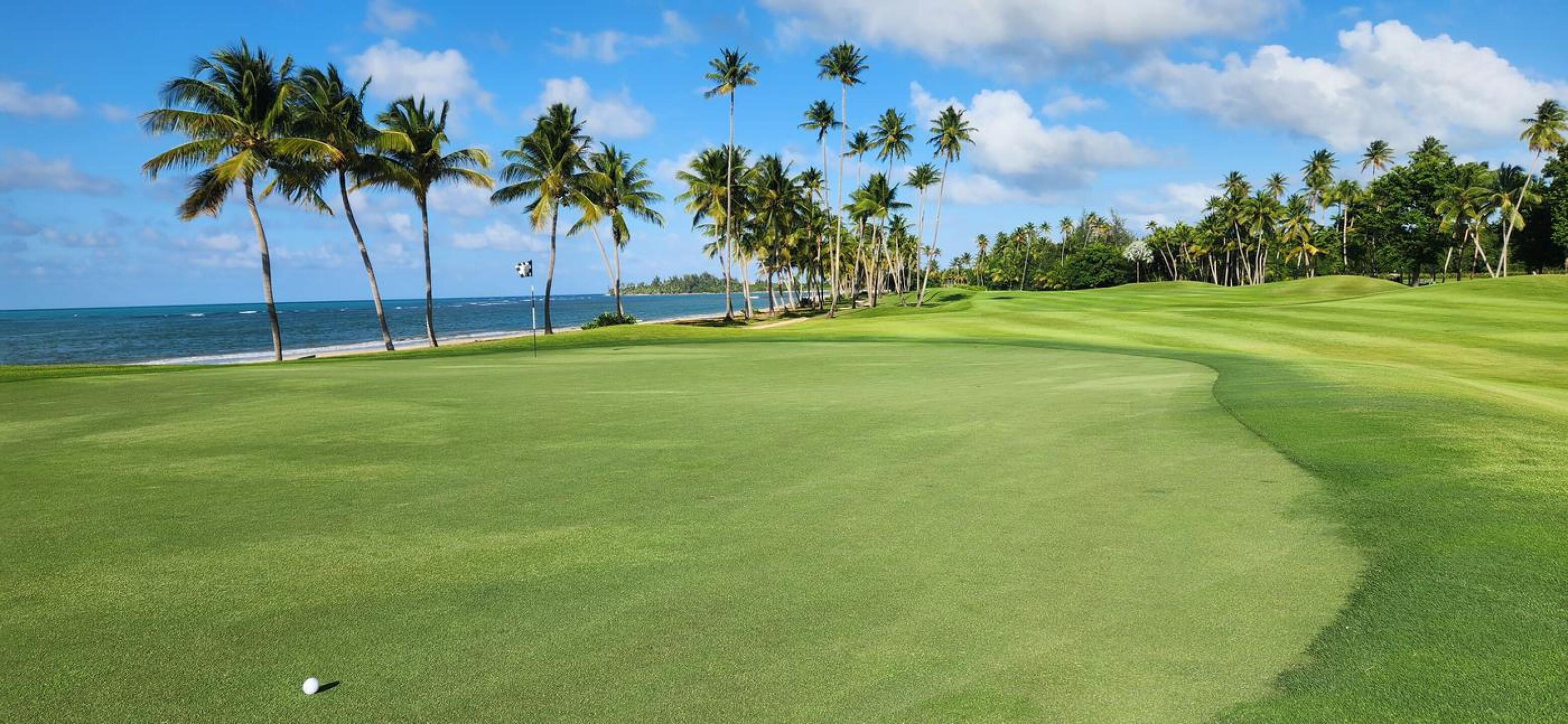 (Photo submitted by Rob6354105 on 03/17/2024)