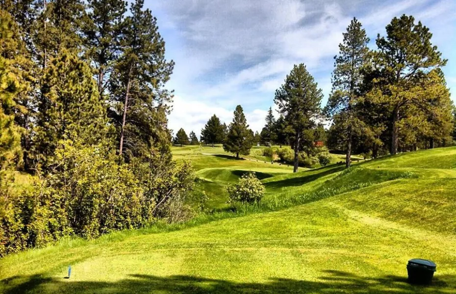 Pine Meadows GC: #6