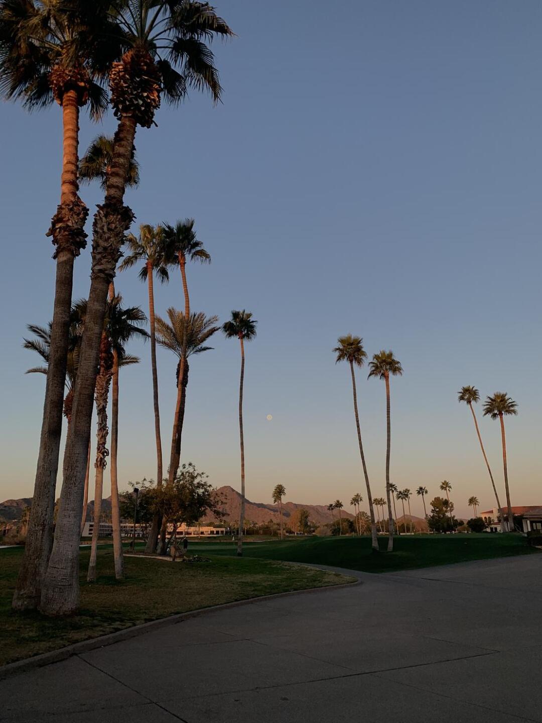 Beautiful Morning (Photo submitted by pegbbcds on 02/07/2026)