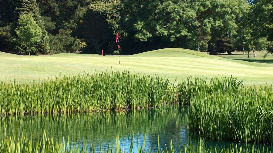 Donabate GC - Red: #2
