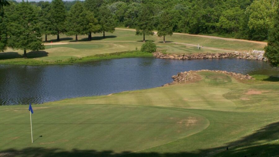 Cypress Tree GC