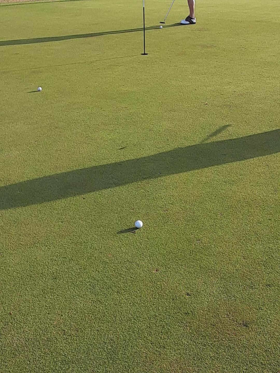 (Photo submitted by Baldybrown2 on 02/06/2020)