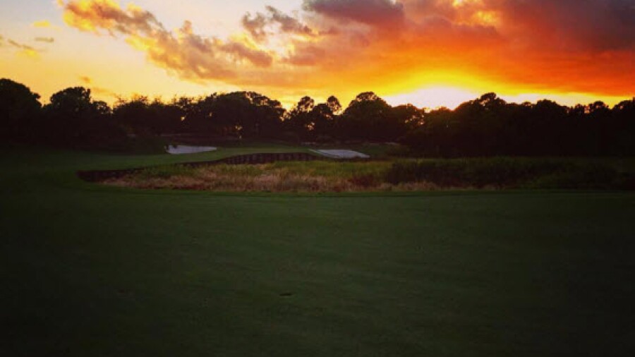 2 - Living The Green - November 2015 - lukedonald