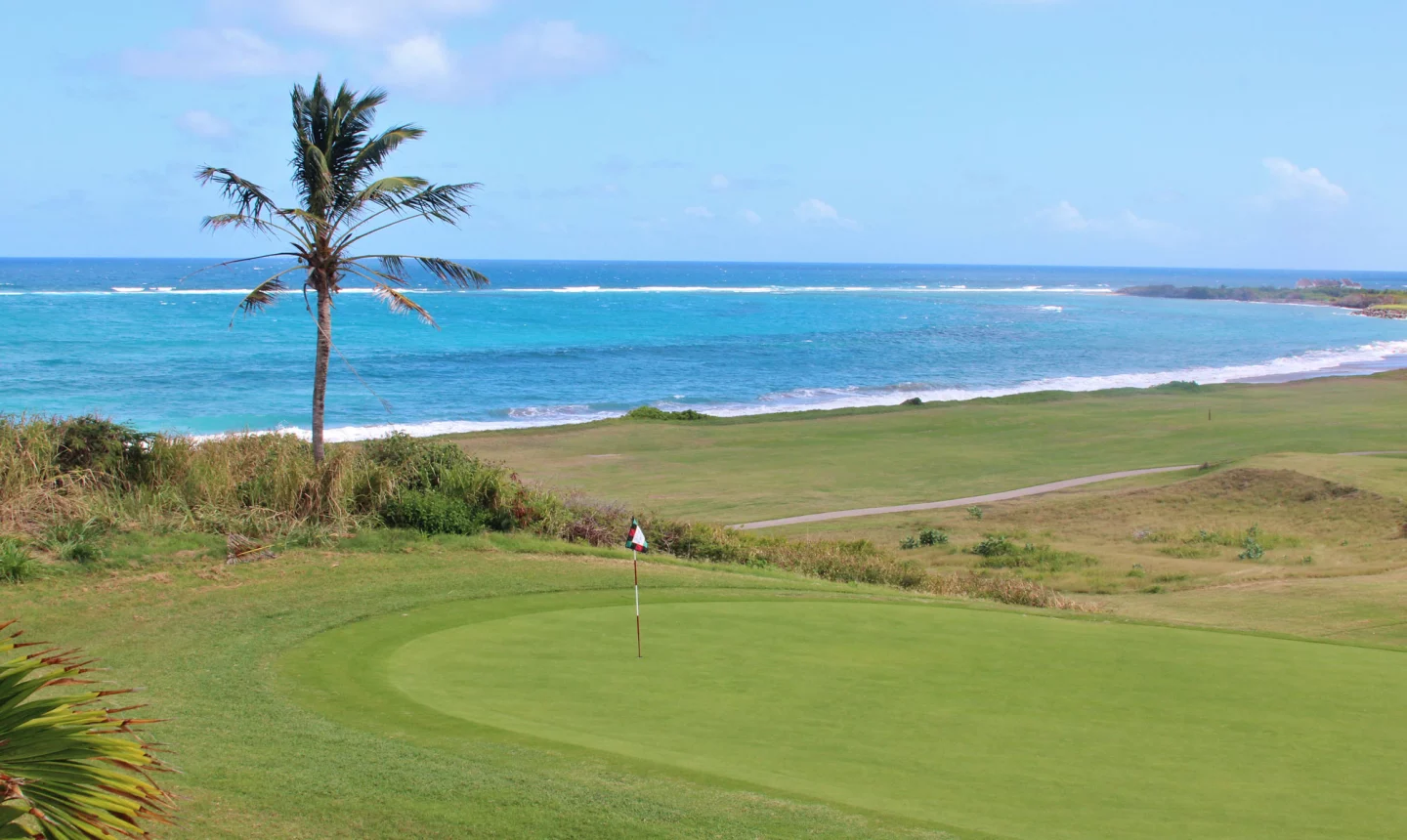 Royal St. Kitts Golf Club - hole 14