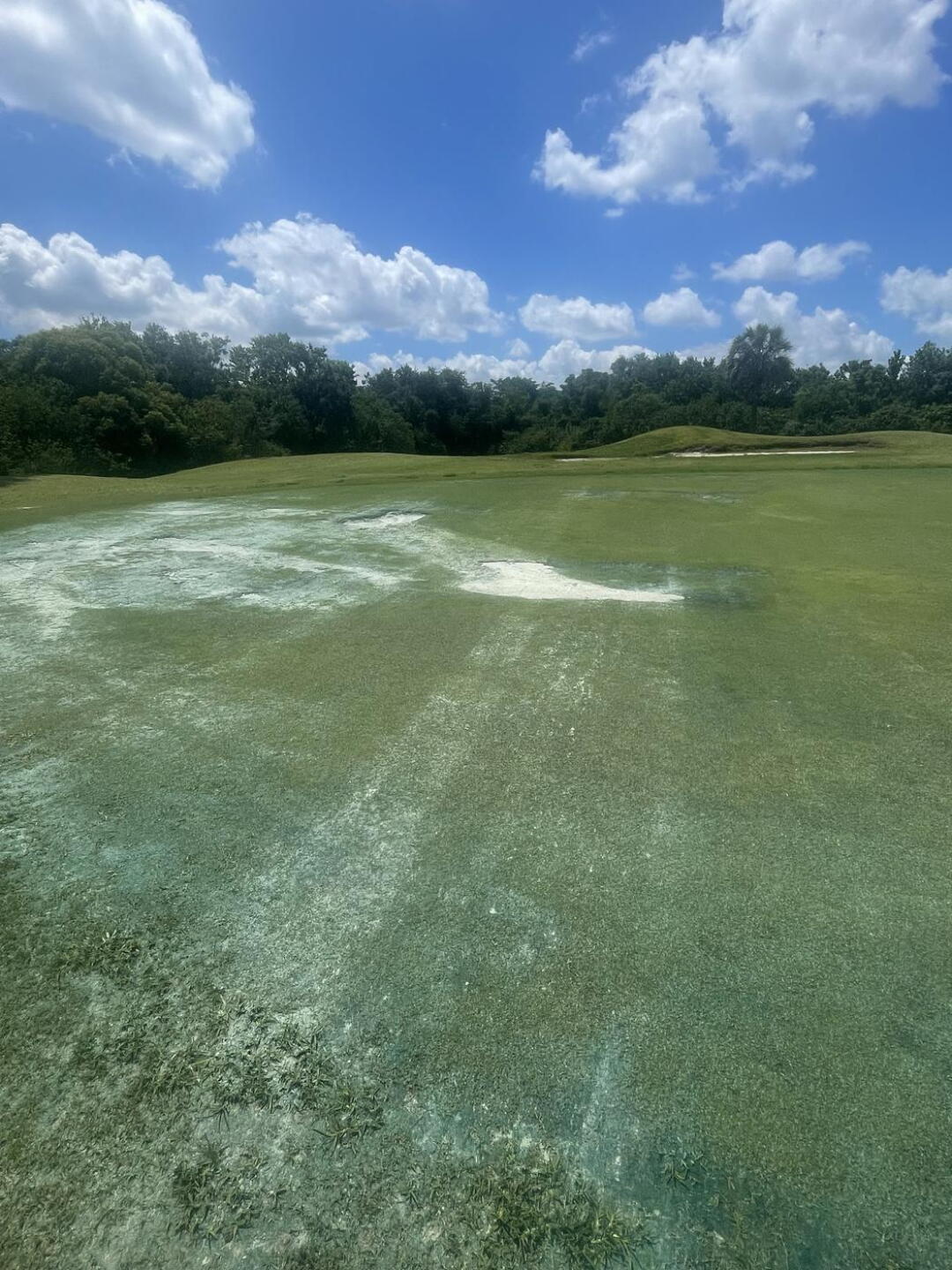 Green Conditions (Photo submitted by 9OmBAqImj44CrR12rp2L on 05/15/2025)