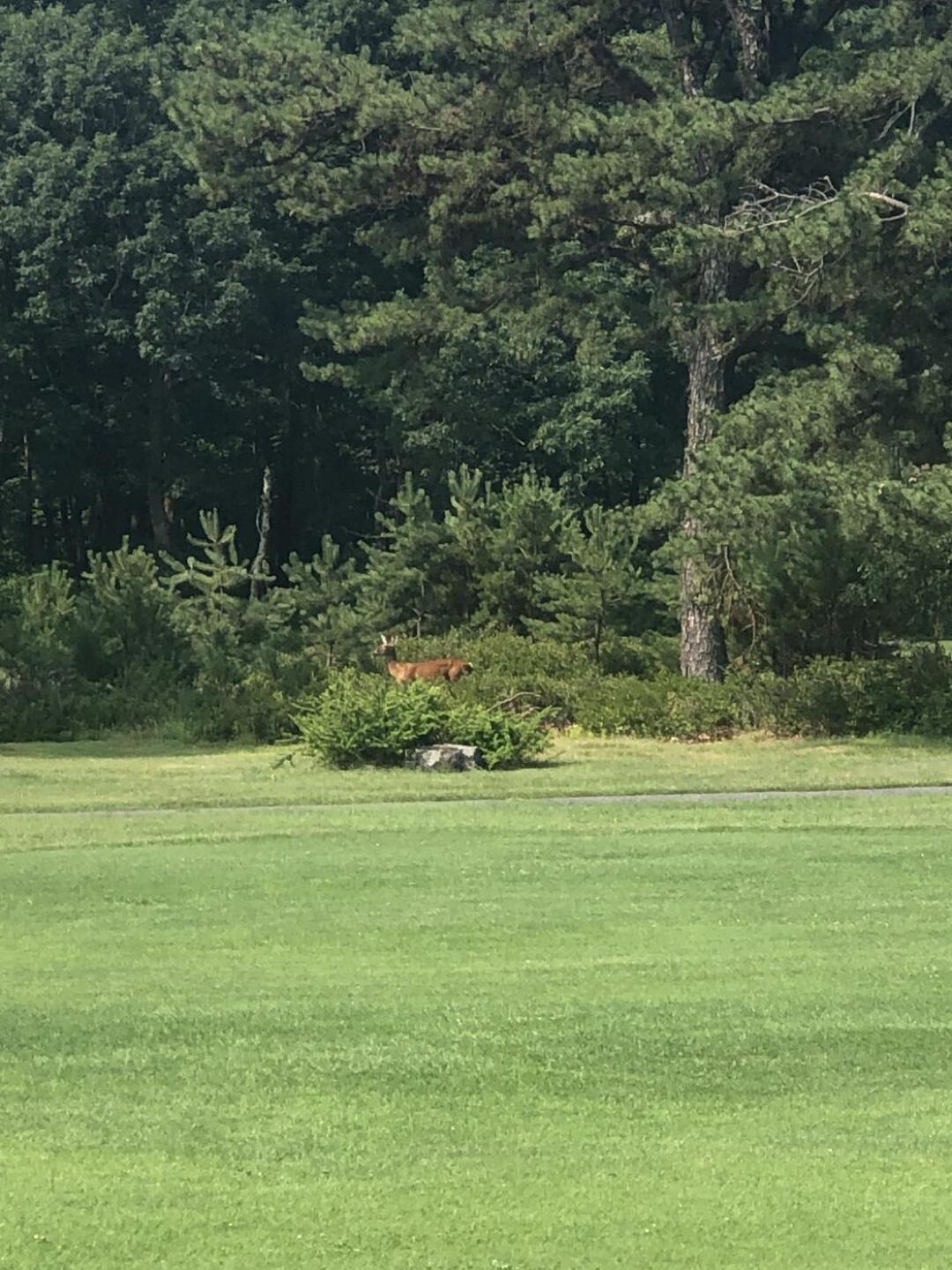 (Photo submitted by u1886377244 on 07/11/2023)