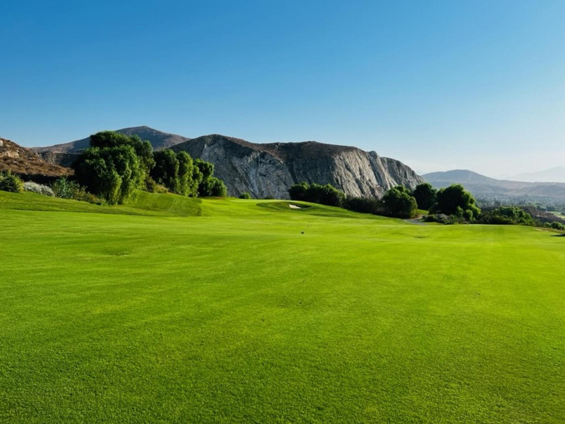 (Photo submitted by Bigkids2ps on 04/18/2023)