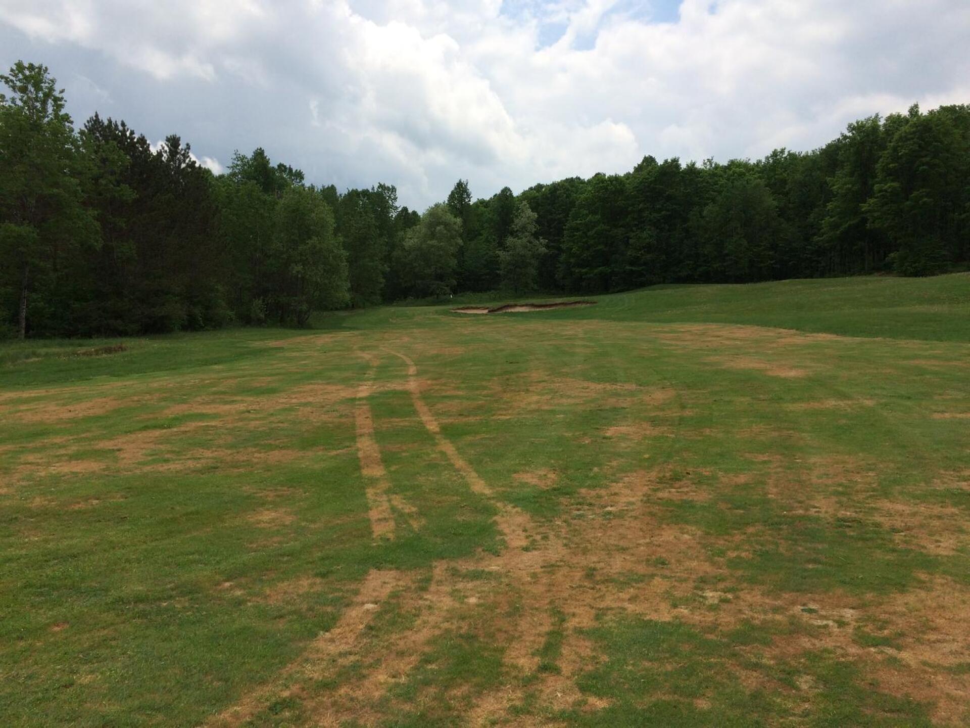 nice cart tracks (Photo submitted by HOTSPOTTS on 06/12/2018)