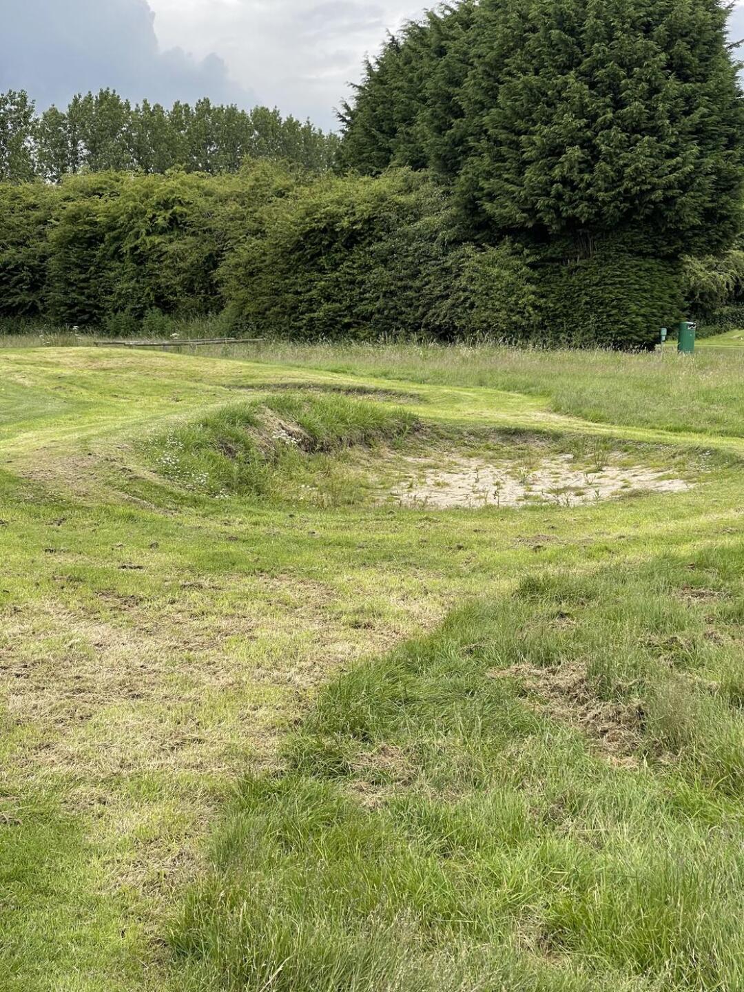 (Photo submitted by u314163577388 on 06/15/2024)