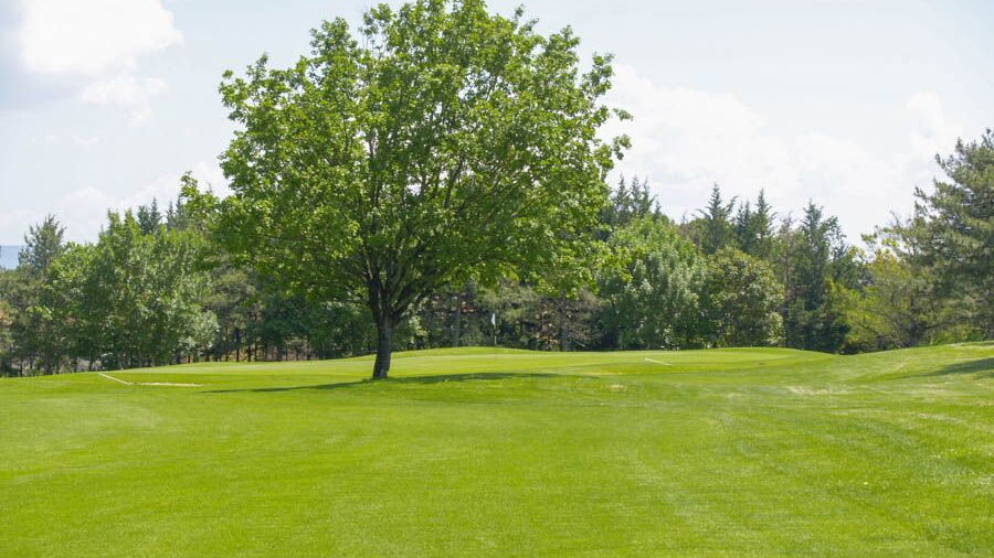 Perugia GC: #16