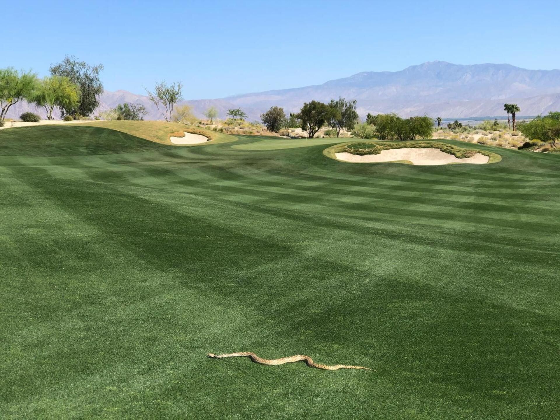 (Photo submitted by kmmassong on 05/02/2020)