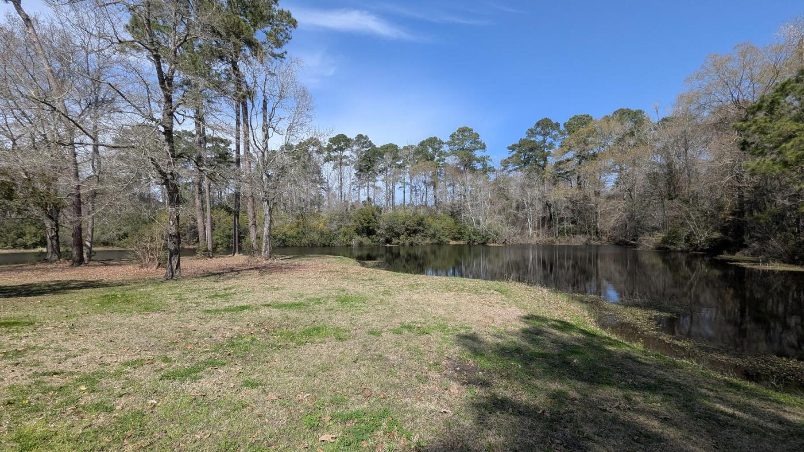 (Photo submitted by woodstock2000 on 03/13/2026)