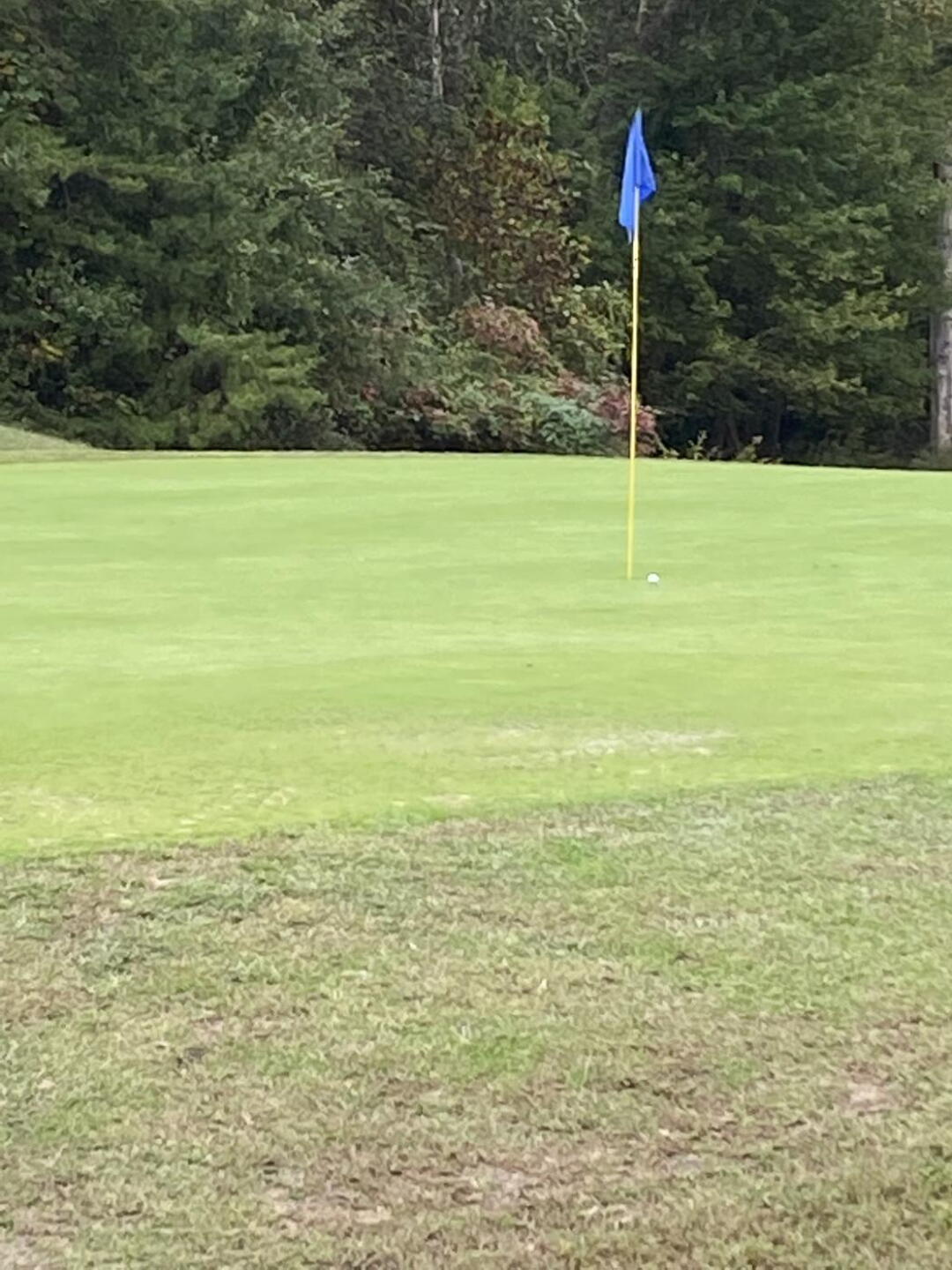 Almost a hole in one on 14 (Photo submitted by RRossi on 10/08/2021)