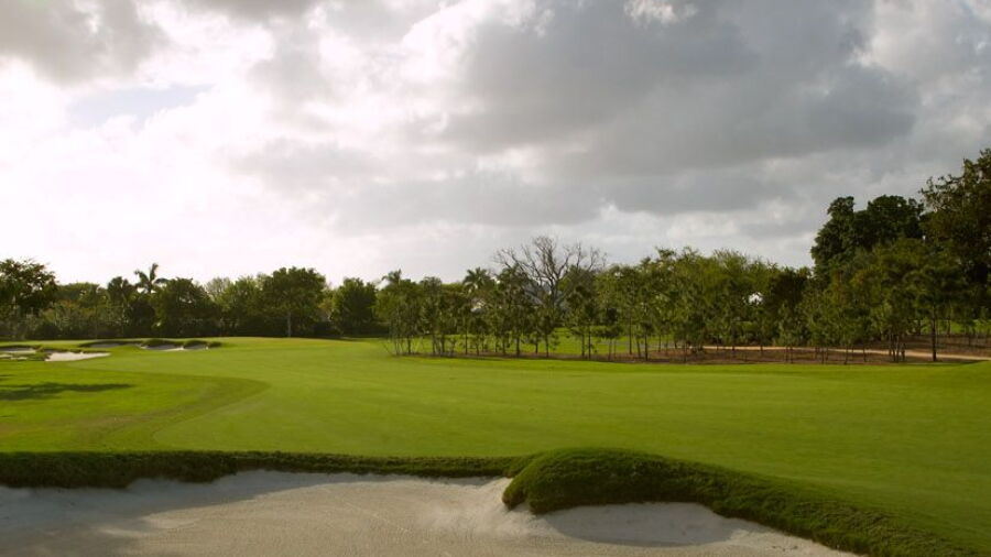 Pine Tree GC