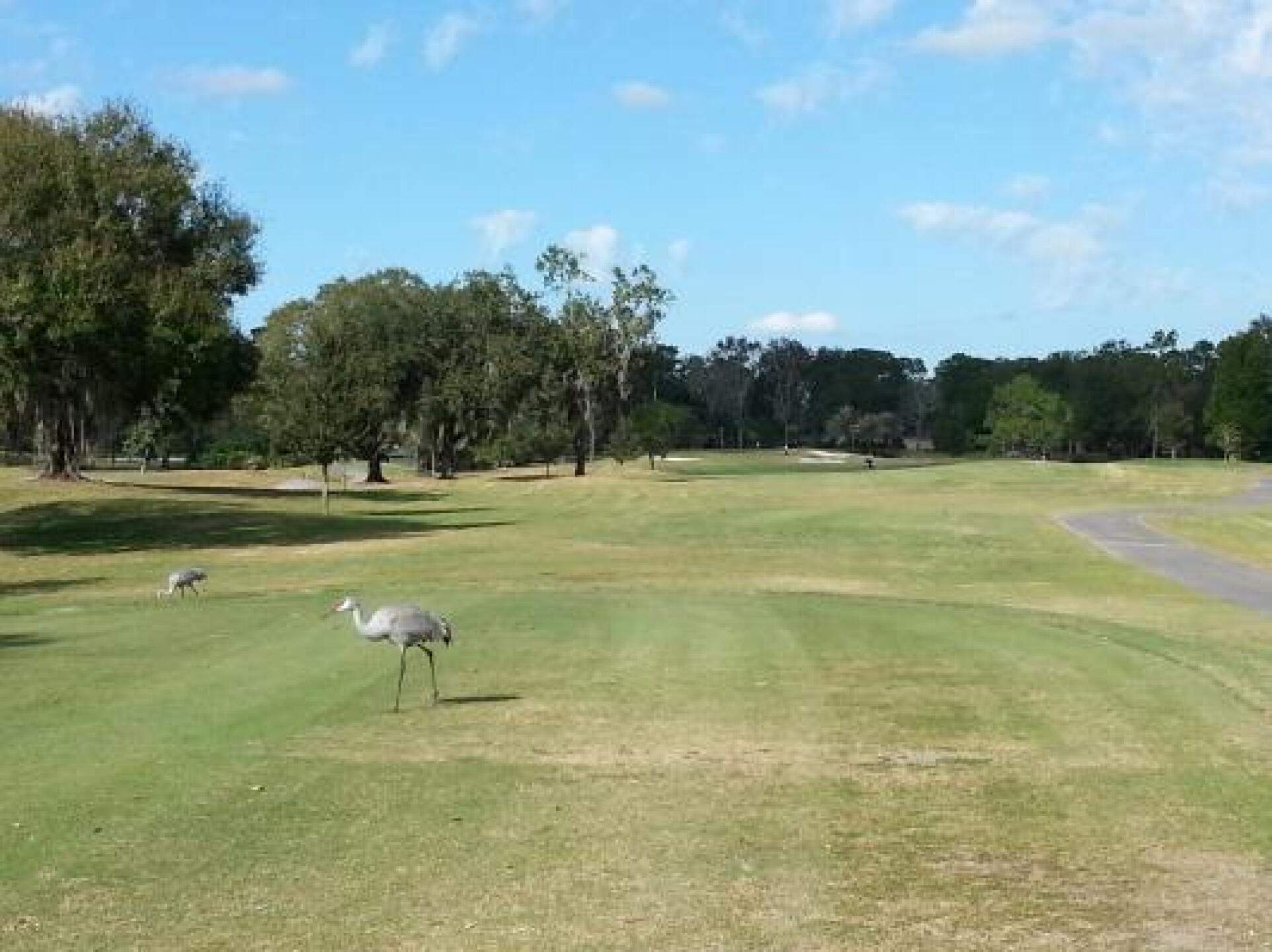 #11 Tee Box (Photo submitted by David5354608 on 12/24/2013)