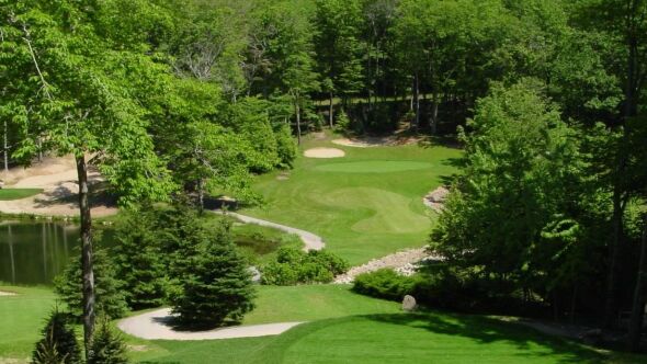Mountain Flowers at The Homestead Resort