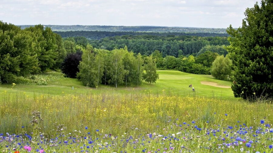 Mont Griffon GC