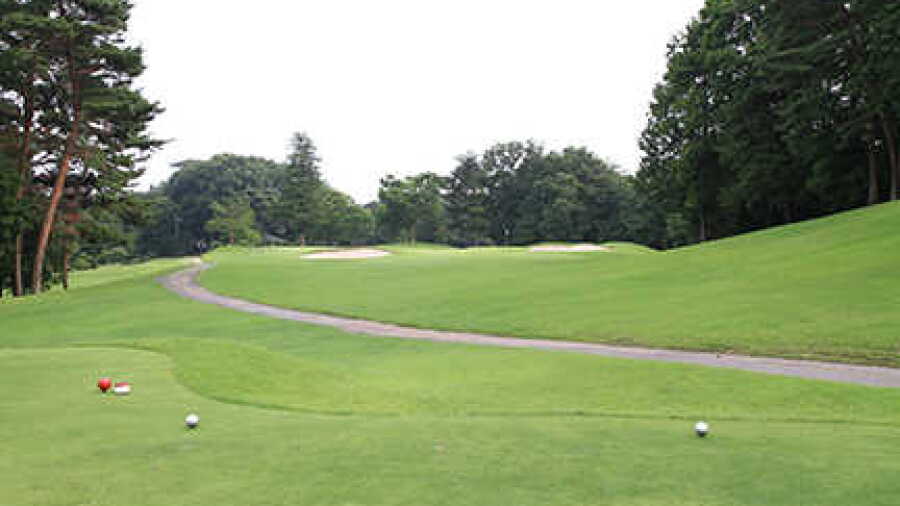 Kanuma CC - Gold: #2