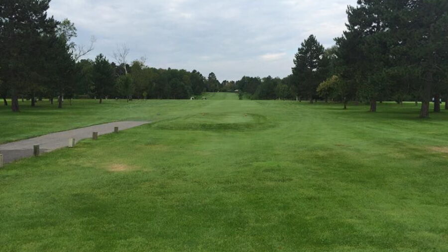 Swan Lake CC