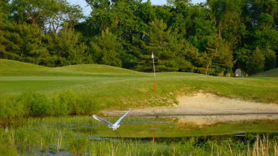 Cape May National GC: Birds