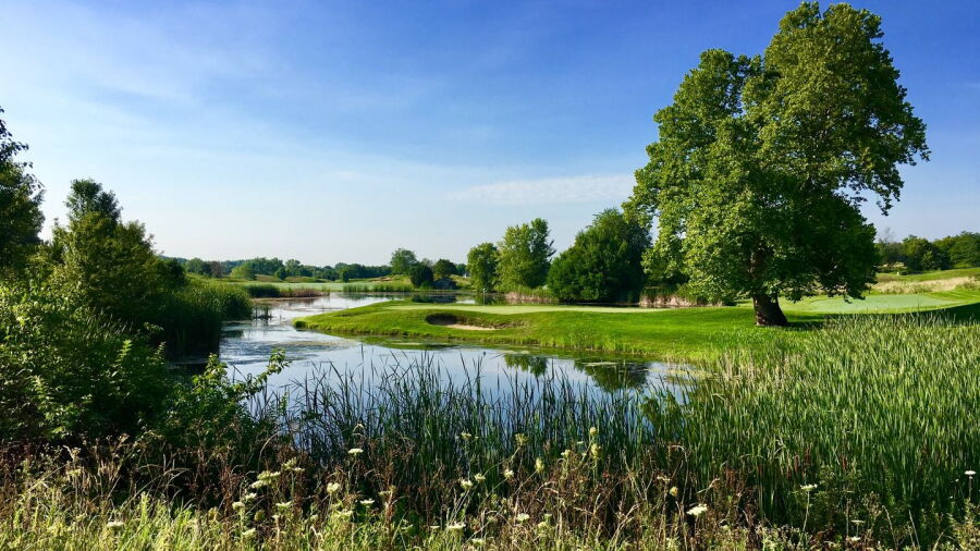 Cooks Creek GC: #15