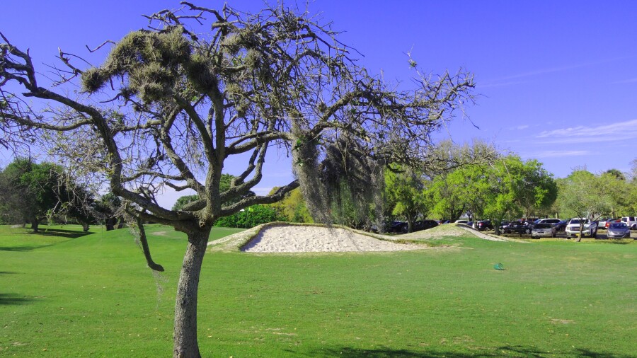 Mangrove Bay Golf Course - practice bunker