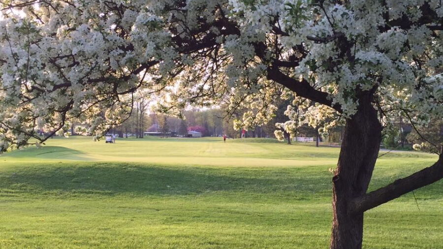 South Toledo GC